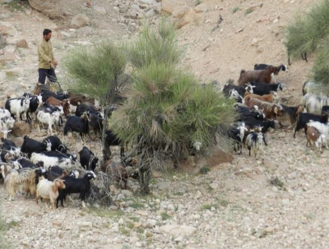 روستای نیگنان-PNtKkgG7qS