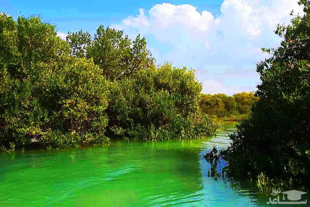 بهترین جاهای دیدنی قشم-PPD7OVuLUg