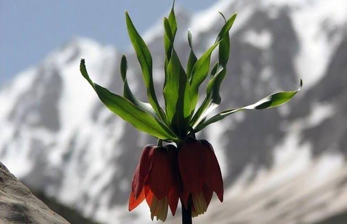 روستای كمندان لرستان-PPP3nIlB8P