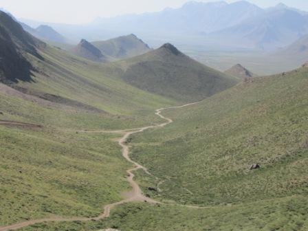 روستای دره بید-PSTQYCmg49
