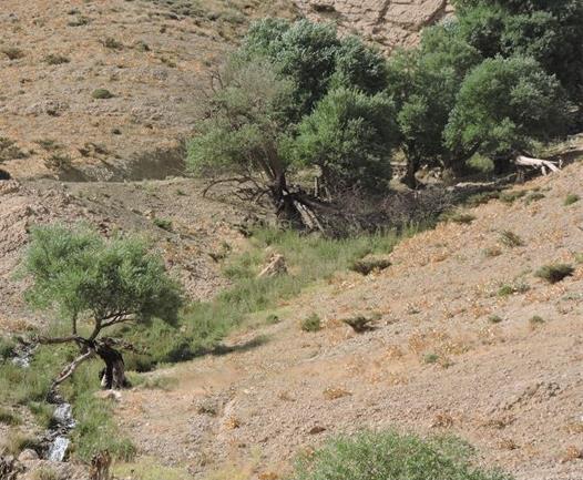 روستای خینه-PU7wbkLy3W
