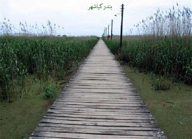 پارك جنگلی بندر كیاشهر-PZKfazCcw9