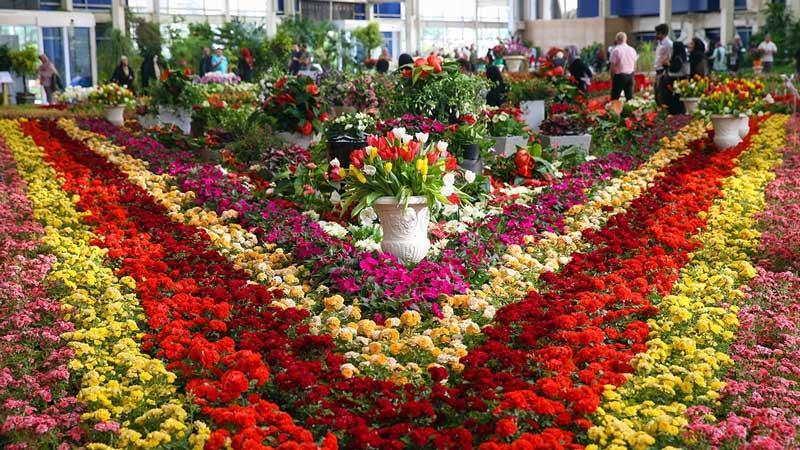 باغ گل محلات (هلند ایران)-PZWb9c8Veh