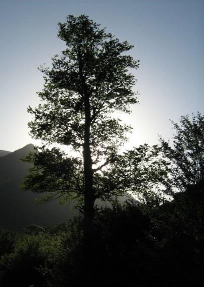 روستای قرن آباد-PbvQ3CWT38
