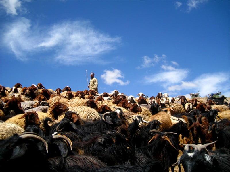 روستای سرایجوق روستای سرایجوق-PdHw9p6O6m