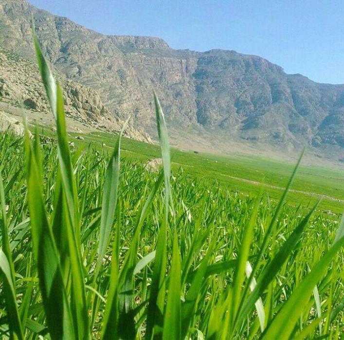 روستای پیان-Pk4r9r7cGC