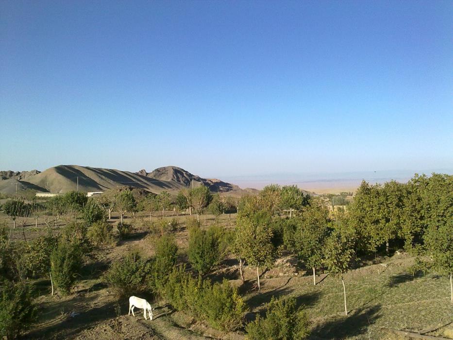 روستای بسك ، بهترین روستا در ششتمد سبزوار-Psp9Dbml3k