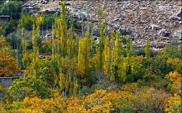 روستای منشاد-Puk9cfsCvI