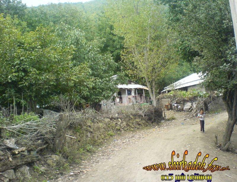روستای شیركده-Q1YgFBBb6m