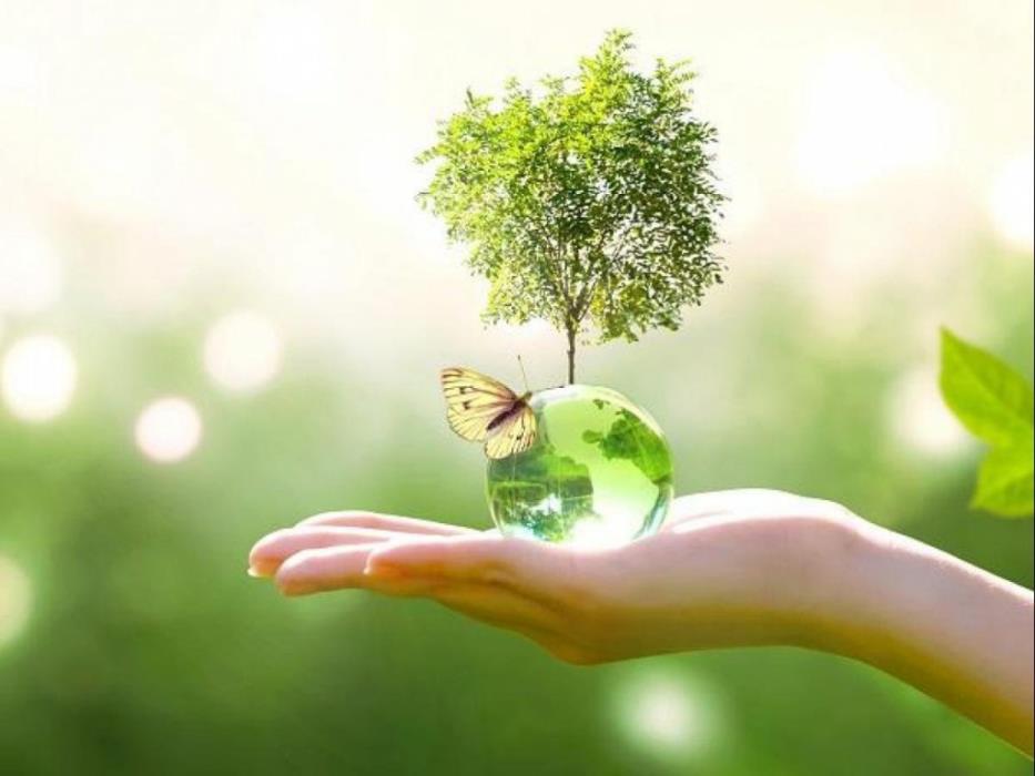 روز جهانی محیط زیست روز پاسداشت مهربانی زمین و آسمان-Q30QwcXE8a