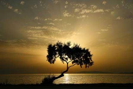 شگفتیهای باستانی یونانی ها-Q5bh2iPXFj