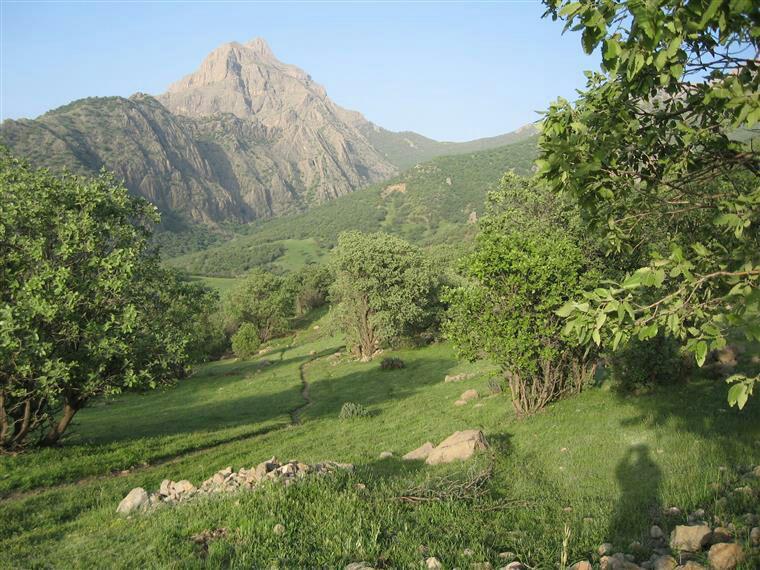 ۱۰ جای دیدنی لرستان در تابستان-QDzxIxNHuA