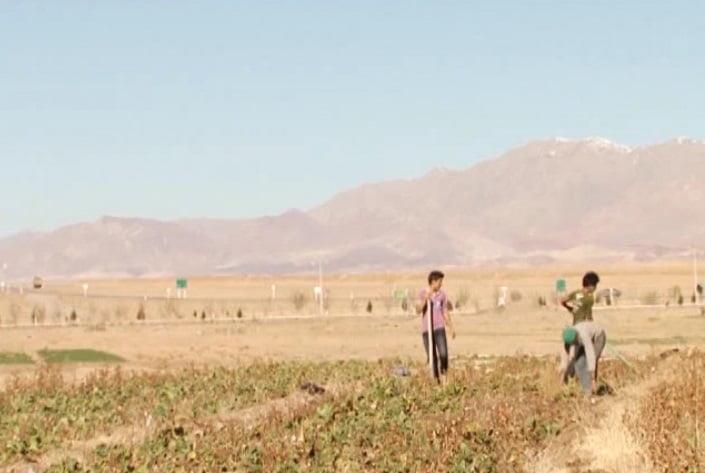 روستای آفریز-QFfQrh1AfD