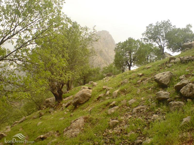 تنگ تهی-QGHgtOEHo2