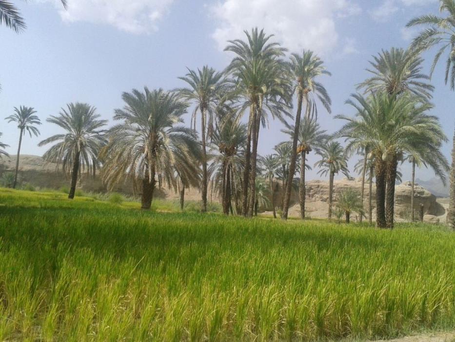 كارواندر ، قطب گردشگری خاش-QGh5Qhwhd4