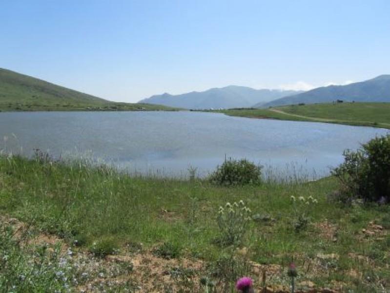 خولشكوه عمارلو-QKqqTcVZxV