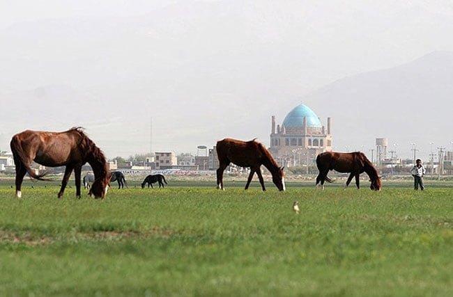روستای سهرین زنجان-QMpNujbMGQ