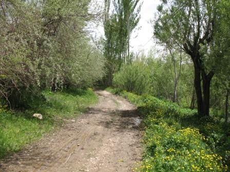 روستای آغچه-QO0DlTefGr