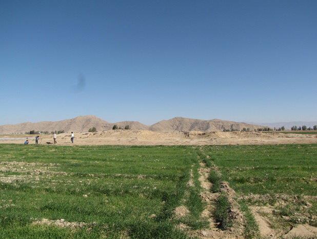 تل سفیدك حاجی آباد-QXlkjOlC5Q