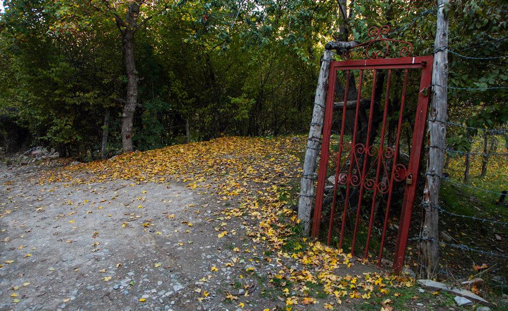 عكس های زیبا و رویایی از طبیعت شگفت انگیز ایران در فصل پاییز-QZLaaerDBD