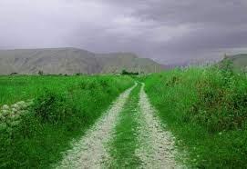 روستای اكبری-QZXRlz9Hzj