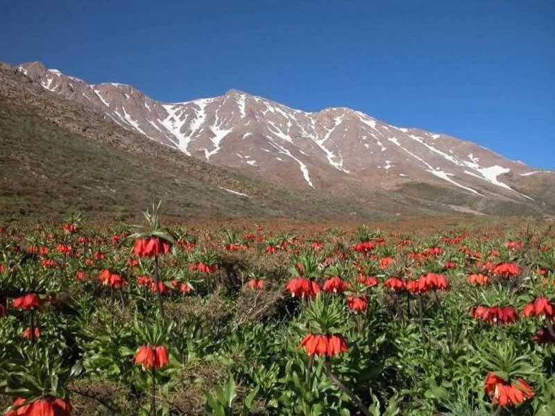 جاهای دیدنی خوانسار در بهار-QaoWVeBcRQ