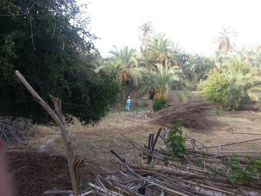اسپكه-QbdR2IQPbw