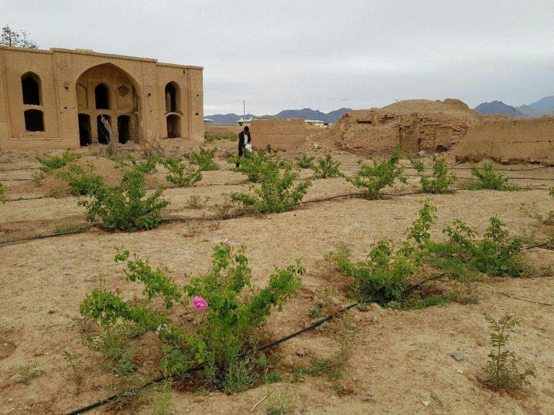 كاخ تاج آباد نطنز-QlnDCPfWXU
