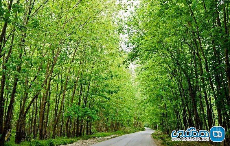 -Qrfg7kmwbg