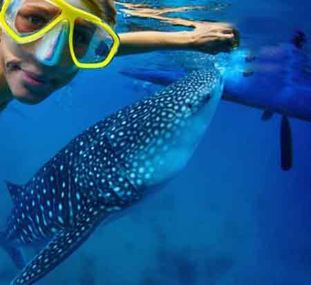 جاذبه های دیدنی لندن-RCTgyOC3E8
