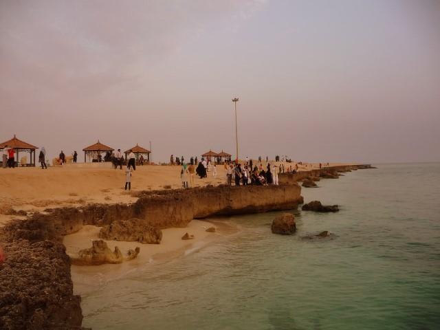 كلبه هور-RDQUDI3WMd