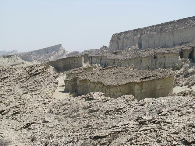 كاسه سلخ-ROzmMV8fPd