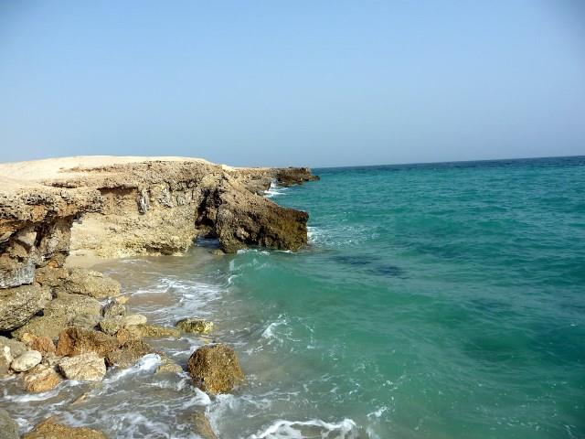 كلبه هور-RU7nWGMdtx