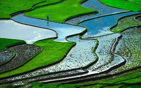 طبیعی ترین زیبایی های جهان-RUlAsyrWlL