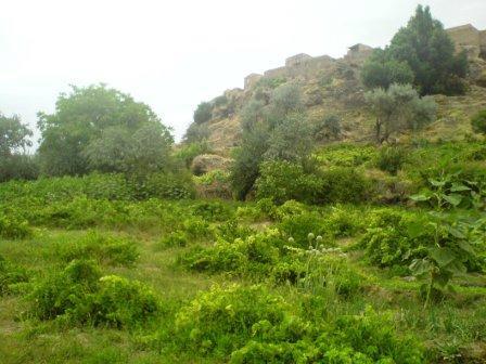 روستای گلویج-RWsFOLFzBT