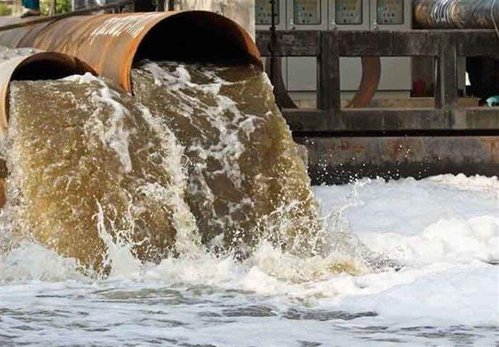 حال خوش تالاب «كانی برازان» مهاباد، بهشت پرندگان ایران-Ras3vF92fO