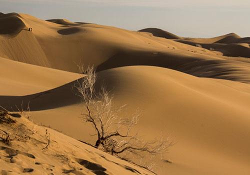 شهر زیبای آران وبیدگل-Rbf1pefrfT