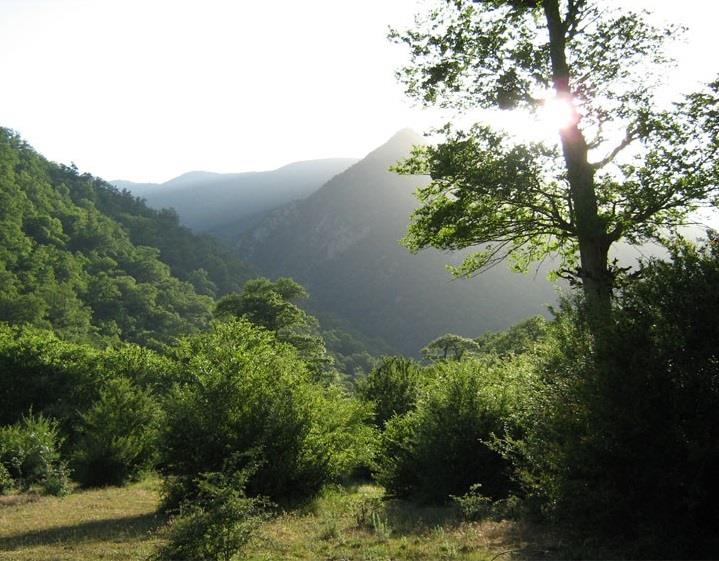 روستای قرن آباد-RcwilX4ub6
