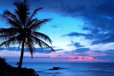 جزیره مائویی، زیباترین جزیره جهان-RdLyCH4LXM