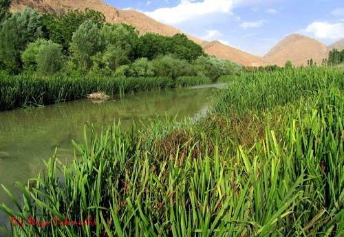 شهر سرمست-RfVUfD6k60