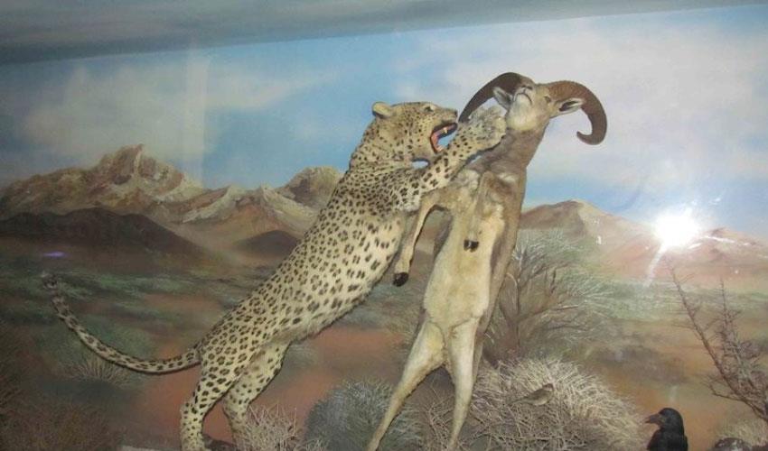 جاهای دیدنی سمنان ( ۲۰ جاذبه گردشگری )-RiAEfPgA6V