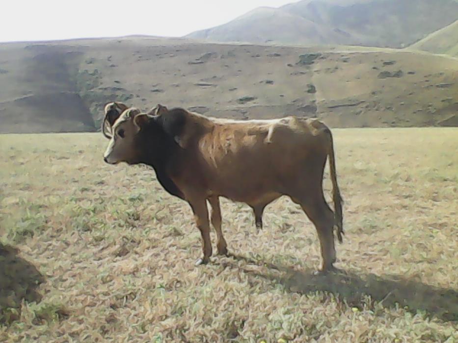 روستاهای گرمی ( معرفی ۲۲۰ روستای گرمی )-Rk7e8vOgFs