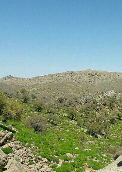 روستای كرخنگان ، روستای نمونه گردشگری استان یزد-RnReny7cvc