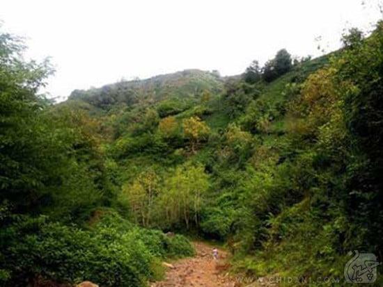 روستای لیلاكوه-RrdERqLGig