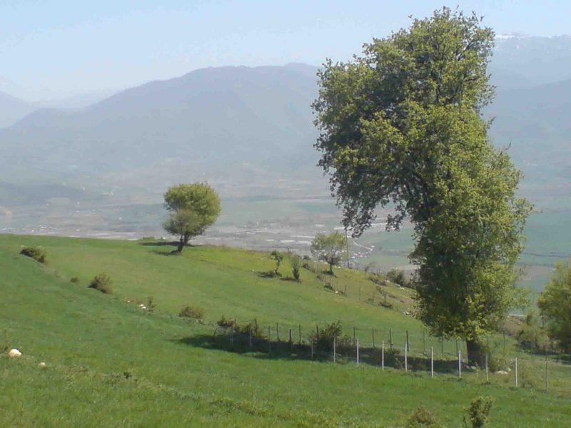 روستای تلاوگ-RuBwh29KdT