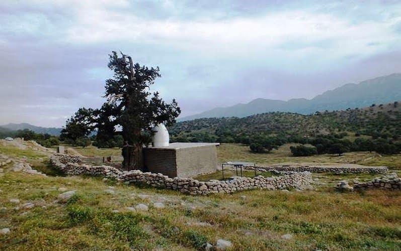 امامزاده سیدمحمدباقر باشت و سرو كهنسال همسایه اش-RwvXCmCNMi