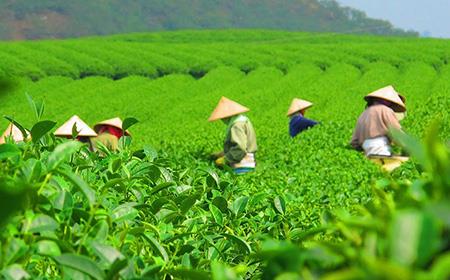 پیاده روی در ها گیانگ Ha Giang-SAgSGx7Opm