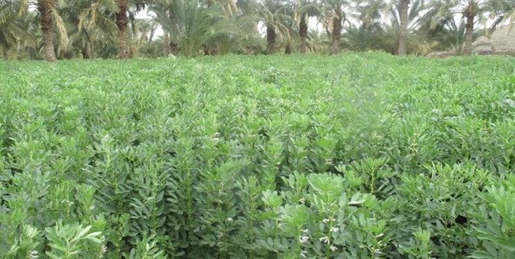 كارواندر ، قطب گردشگری خاش-SDELNkLkMo