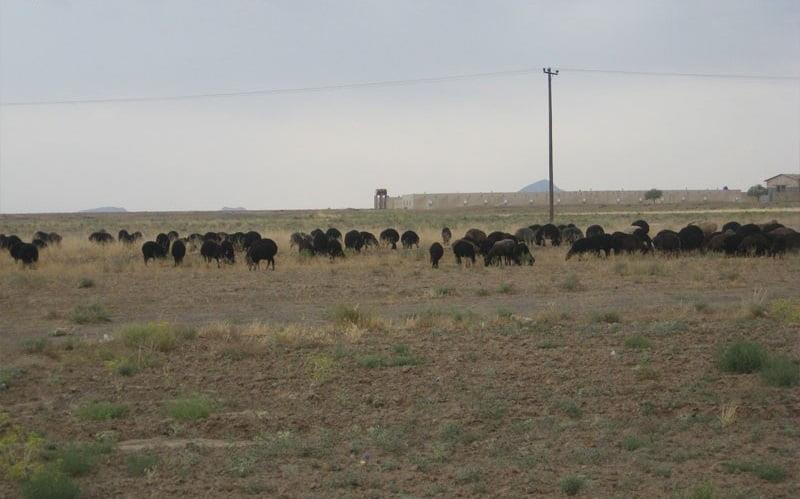 روستای تاج خاتون-SNEKMLPUNg