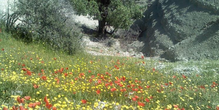 گورستان كان گنبد ملكشاهی-STSREqX38m